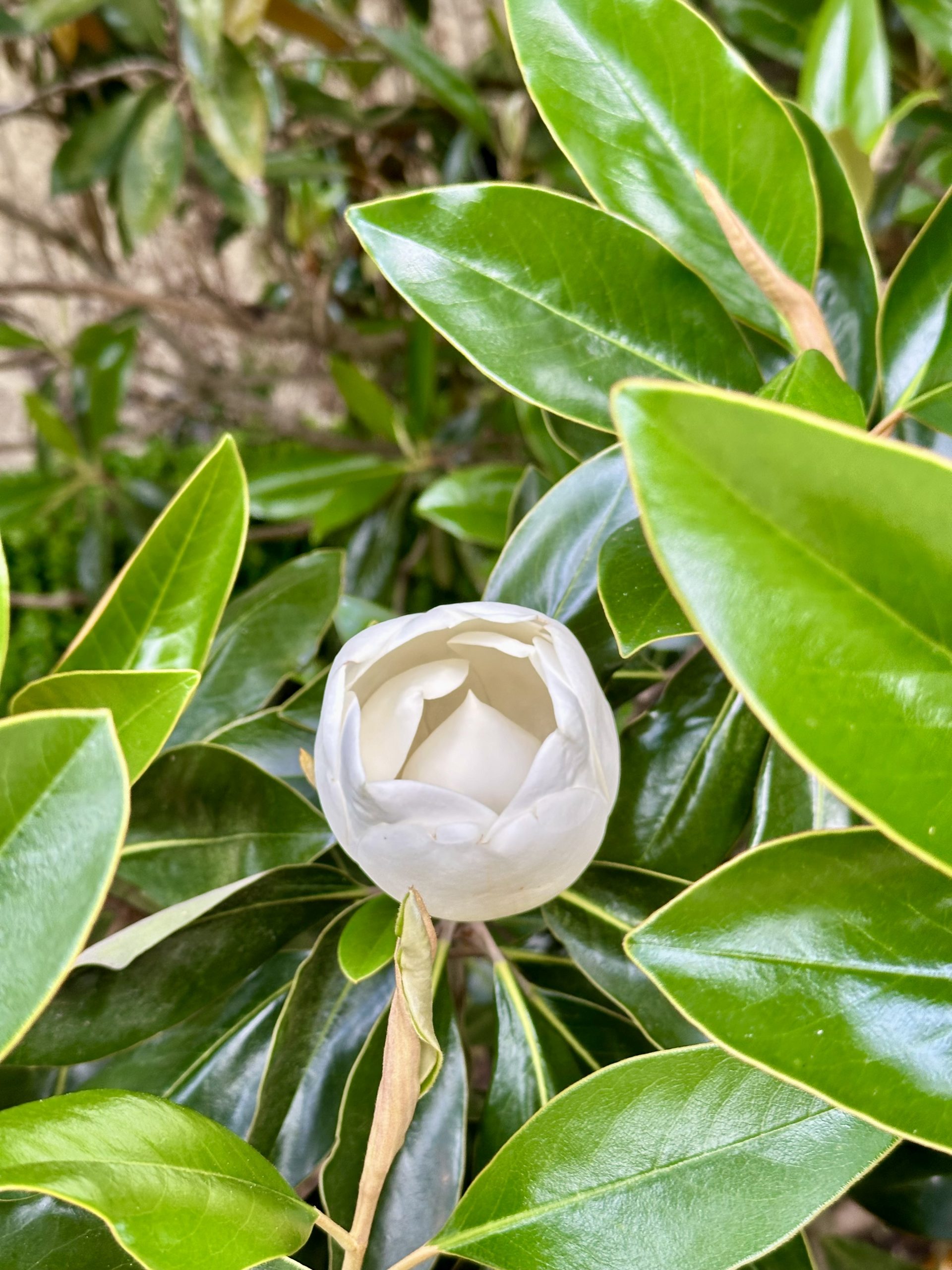 Exploring Innovative Digital Marketing Tactics in Travel and Hospitality