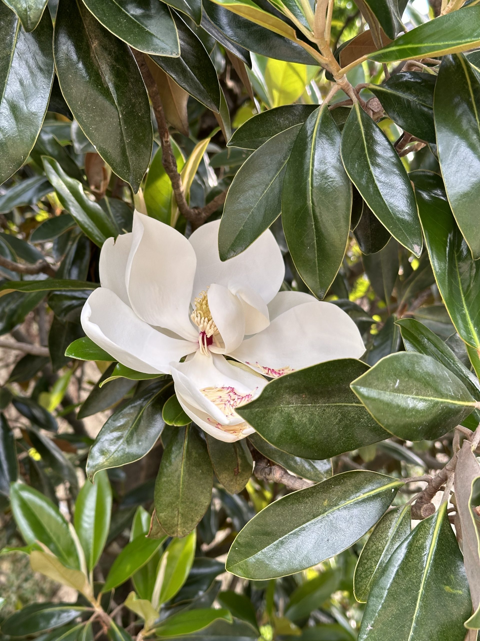 Empowering Small Business Owners: Creating Online Courses with Effective Marketing Funnels