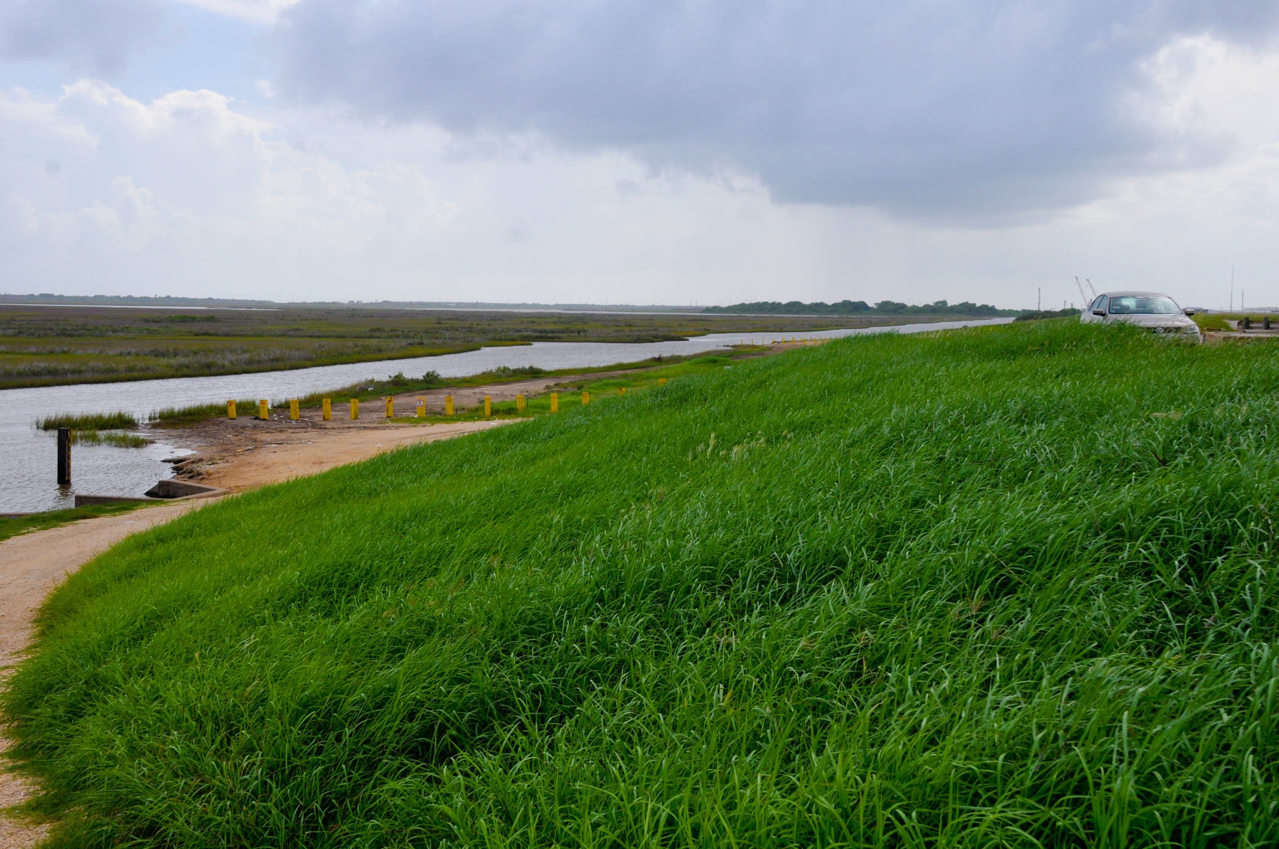 A grassy levee curving beside a calm channel through coastal wetlands under a cloudy sky.